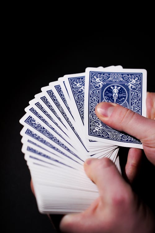 High Payout Slots Belize Powerslot Guide